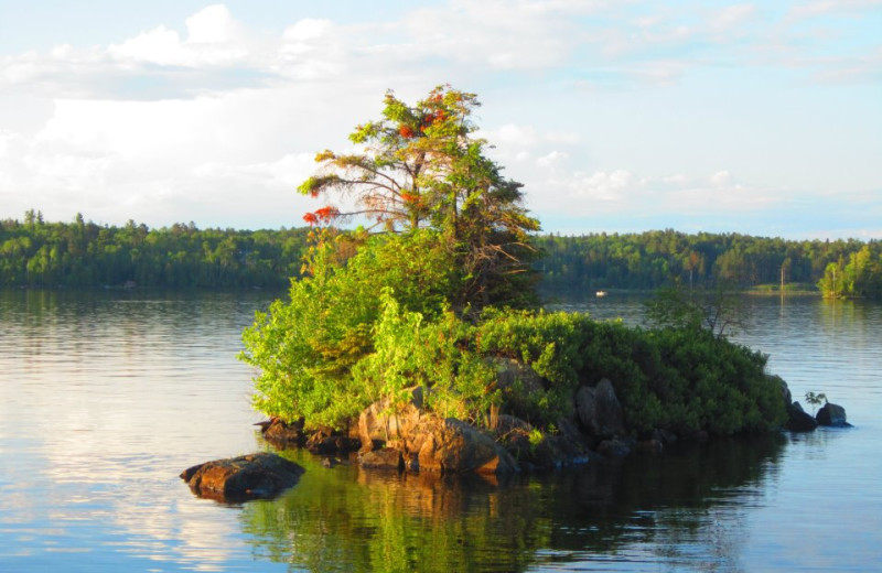 Shagawa Lake at Lady Bug Lodge
