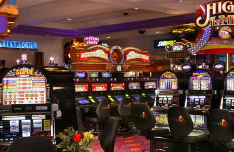 american casino guide com