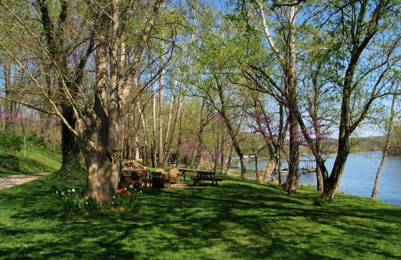 Grounds at Rainbow Drive Resort.