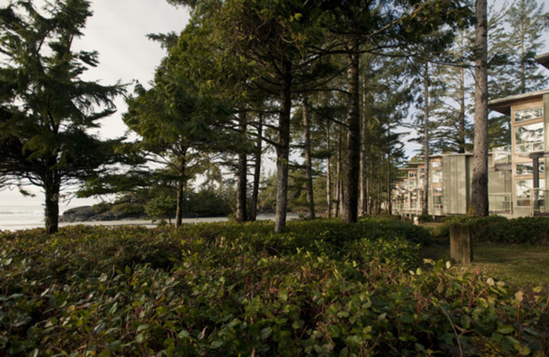 Exterior View of Pacific Sands Beach Resort 