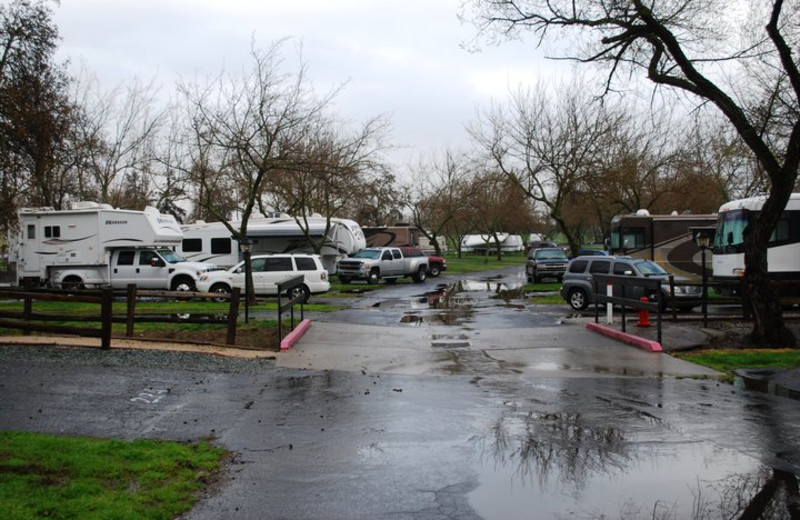 RV park at Far Horizons 49er Village.