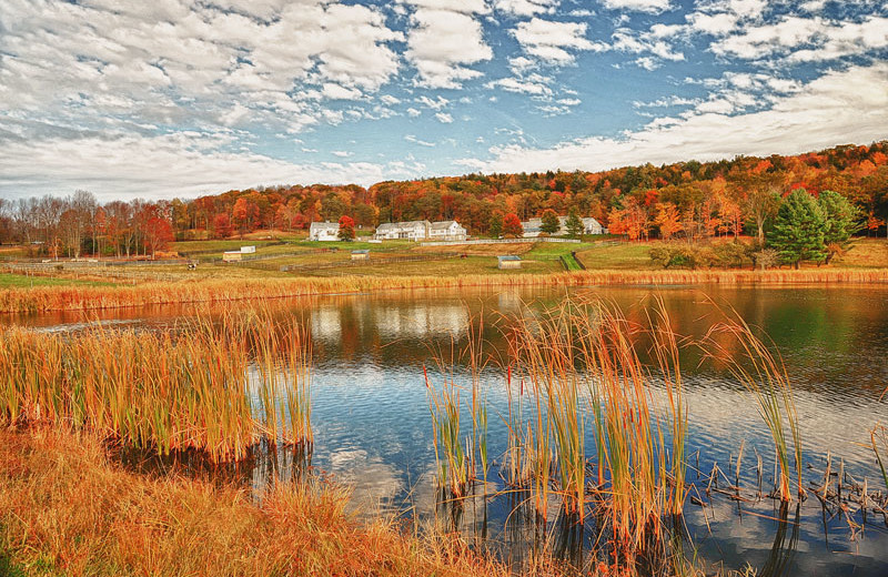 Fall colors at B & B Ranch.