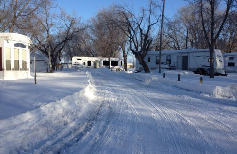 RV campground at Ten Mile Lake Resort.