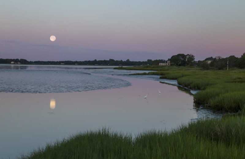 Beach at Saybrook Point Inn, Marina & Spa.