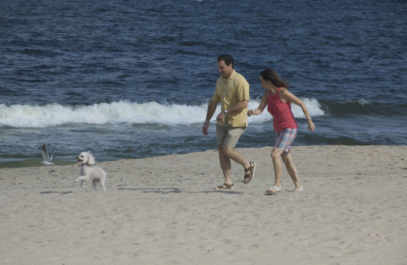 Beach at Beach Vacation Rentals.
