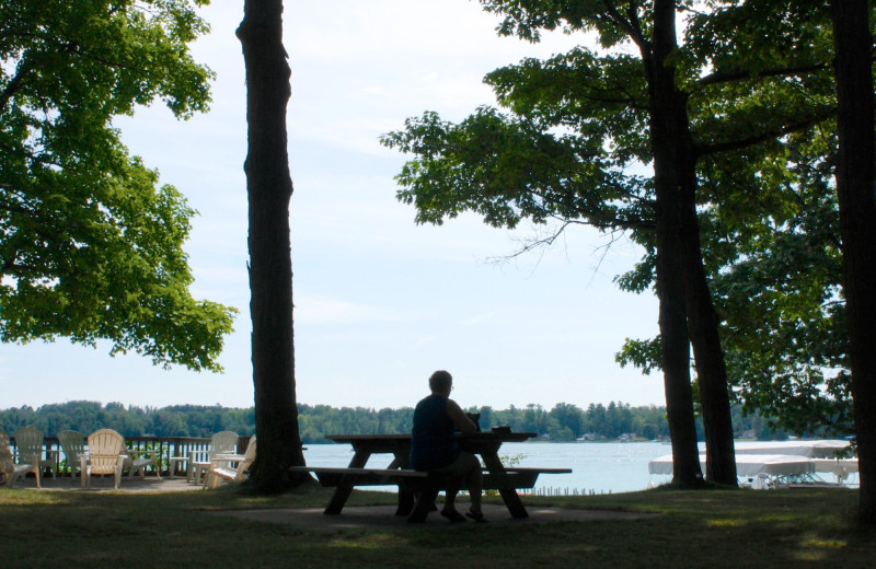 Lake view at White Birch Lodge.