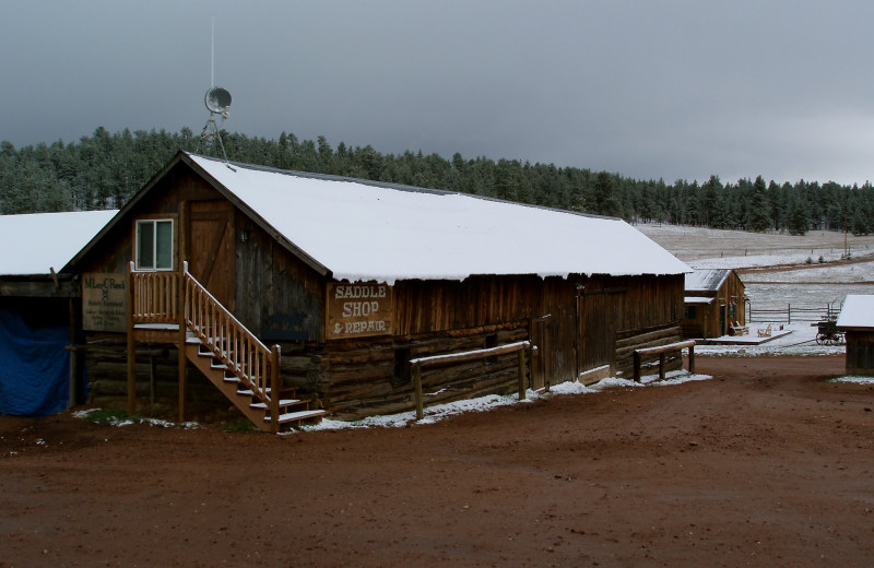 Exterior view of M Lazy C Ranch.