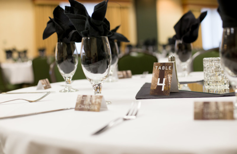 Weddings at Holiday Inn Minneapolis NW Elk River
