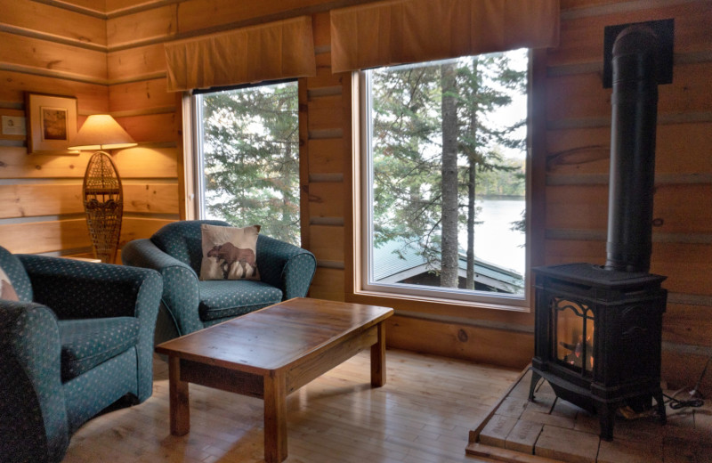 Cabin living room at Bartlett Lodge.