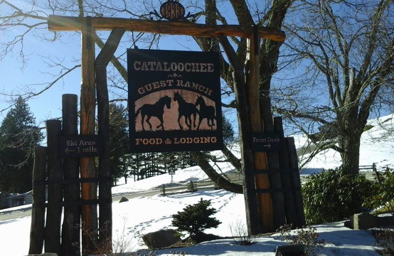 Welcome to Cataloochee Ranch.