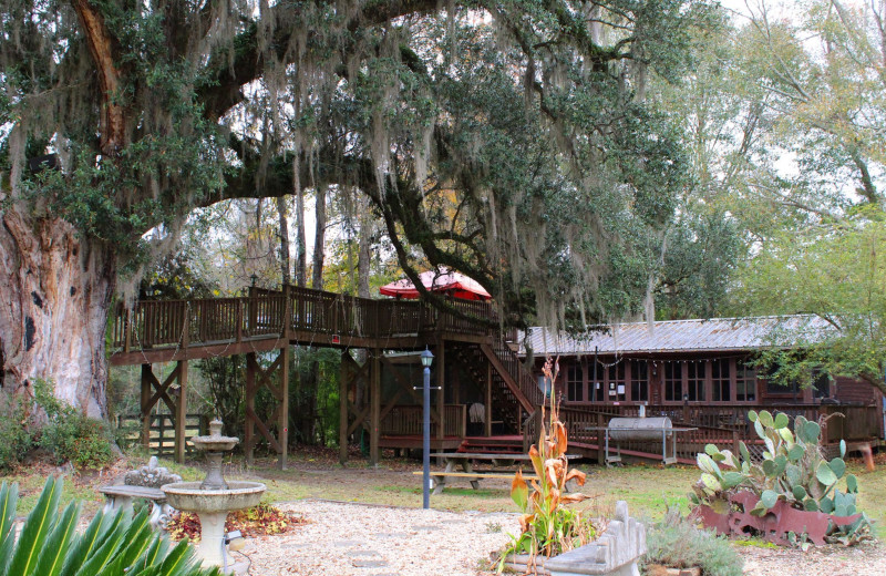 Exterior view of Berry Creek Cabins.