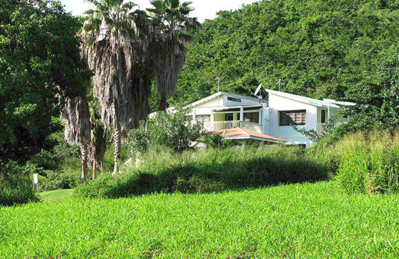 Exterior view of Tamarindo Estates Beach Cottages.