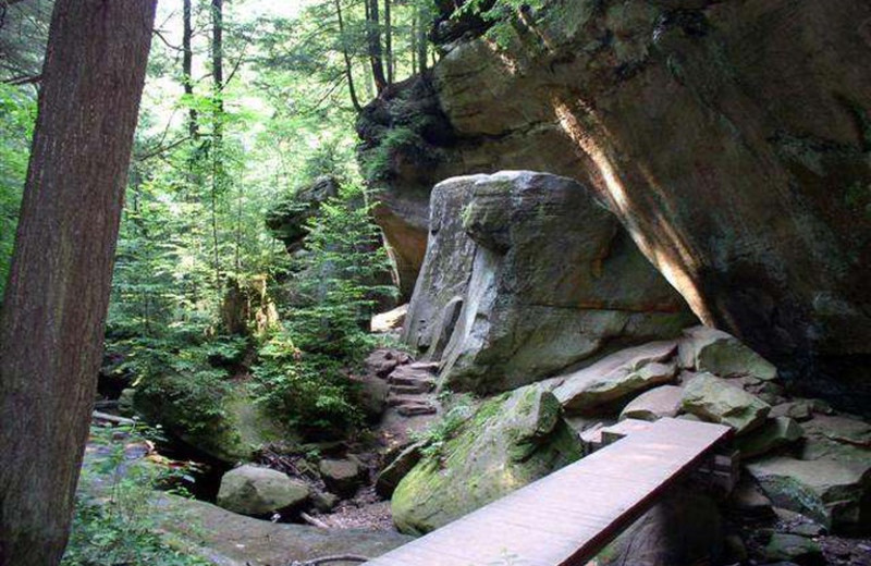 Scenic view at Hocking Hills Cozy Cabins.