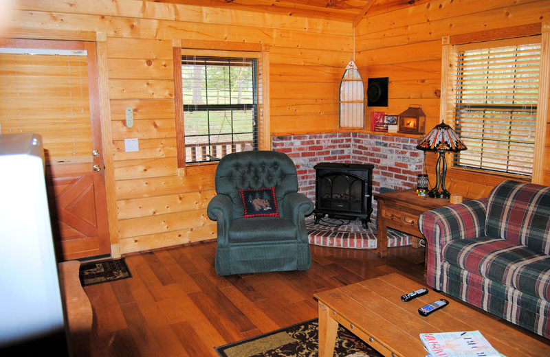 Cabin living room at Cabin Fever Resort.