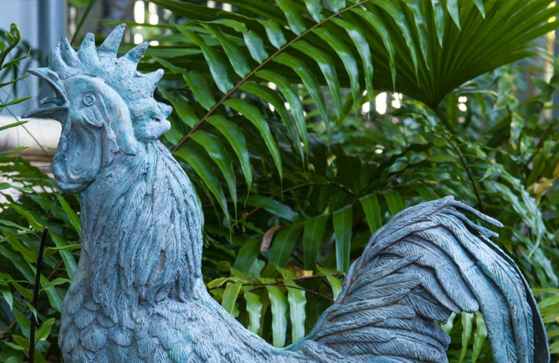 Rooster decoration at The Cabana Inn.