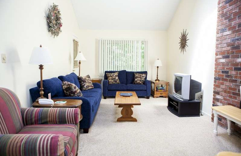 Rental living room at The Seasons Resort.