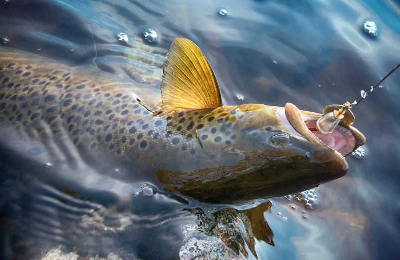 Fishing at The North Face Lodge.