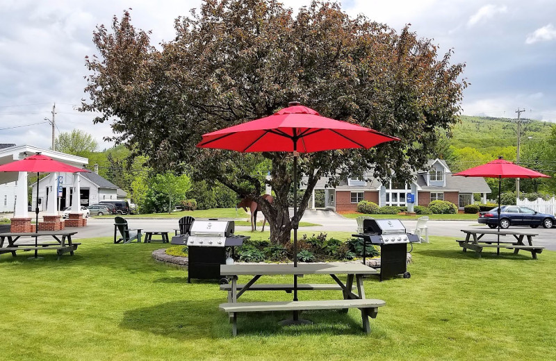 Picnic area at Top Notch Inn.