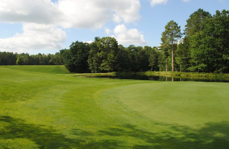 Golf course at Forest Point Resort & Golf.