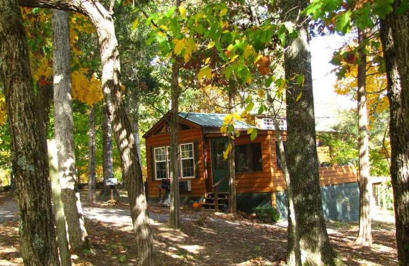 Cabin at Rim Rock's Dogwood Cabins.