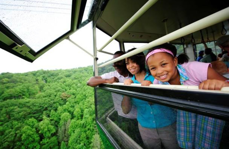 Family outing at Jackson Mountain Homes.