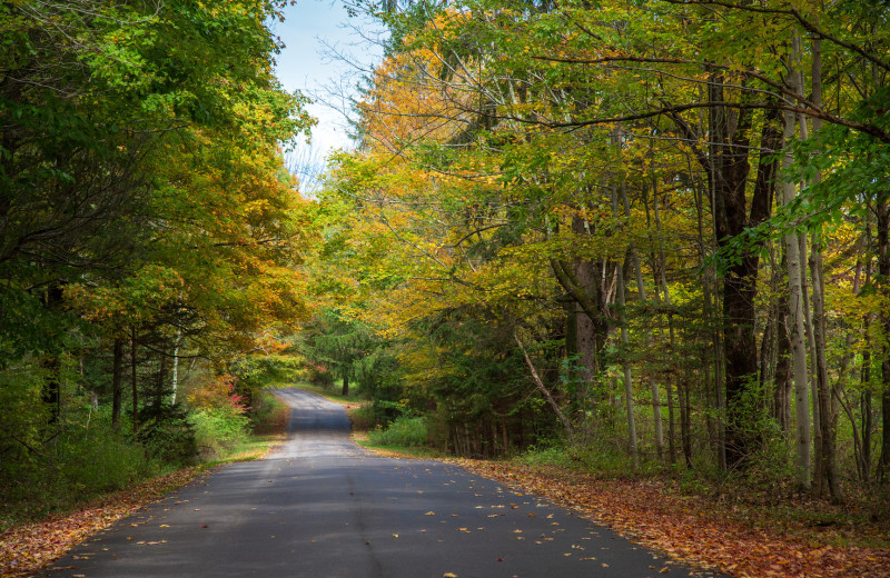 Road to The French Manor Inn and Spa.