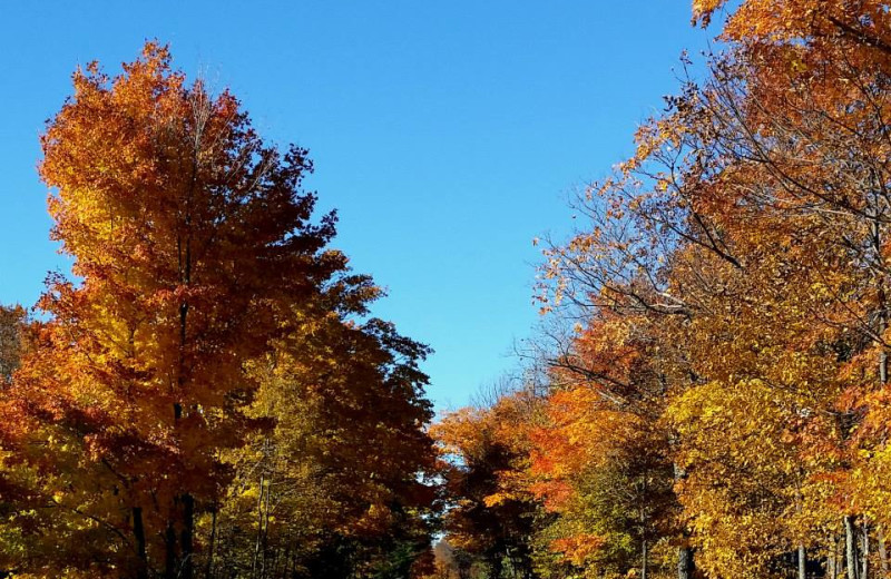 Fall colors at Nordic Lodge.