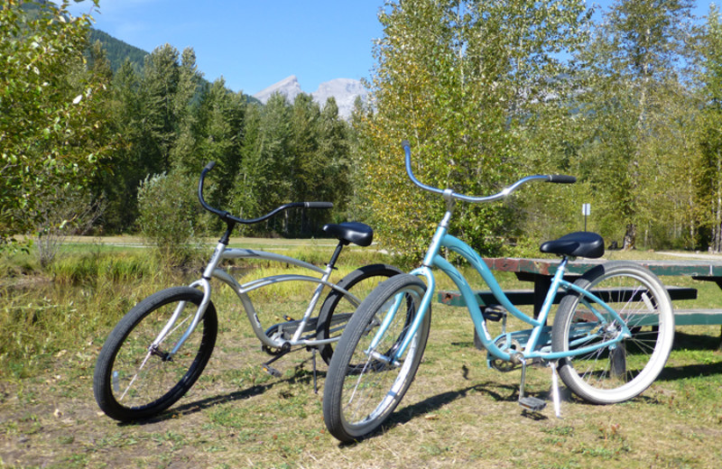 Biking at Red Tree Lodge.