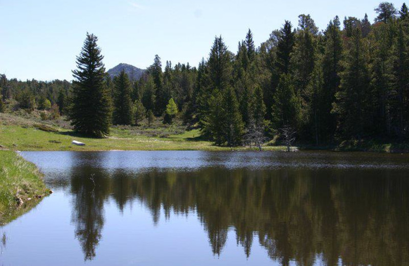 Pond at The Sugar & Spice Ranch