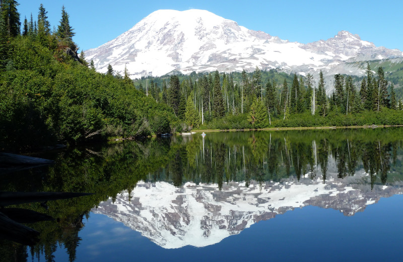 Mountain views at Jasmer's Rainier Cabins & Fireplace Rooms.