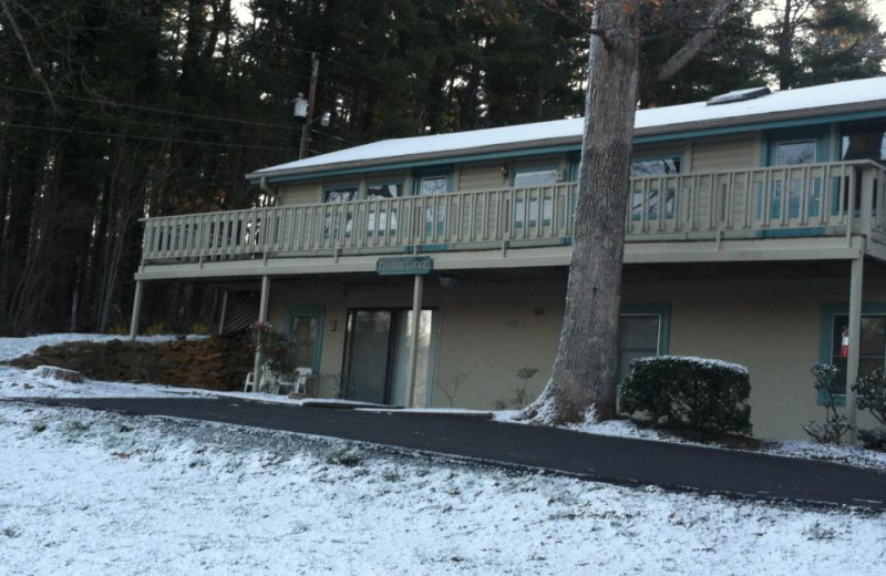 Winter at the Mill House lodge.