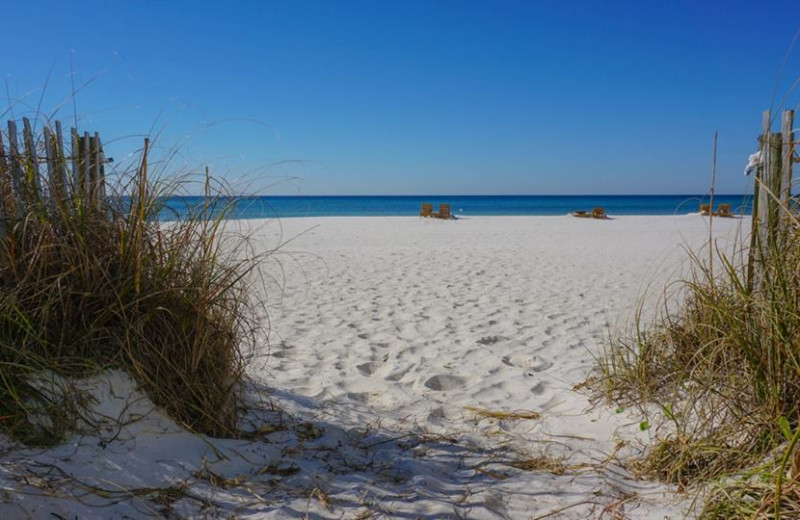 The beach at Liberte Management Group.