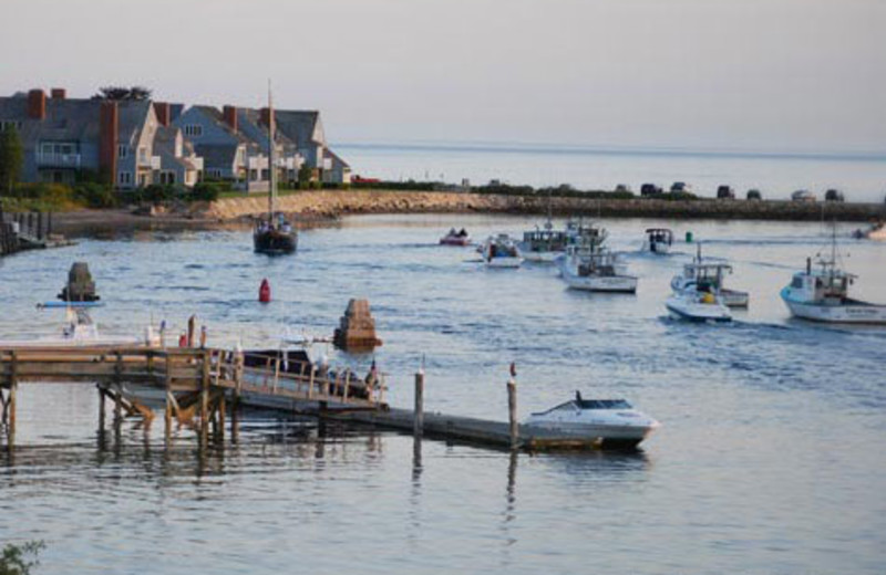 Ocean view near Maine Stay Inn & Cottages.