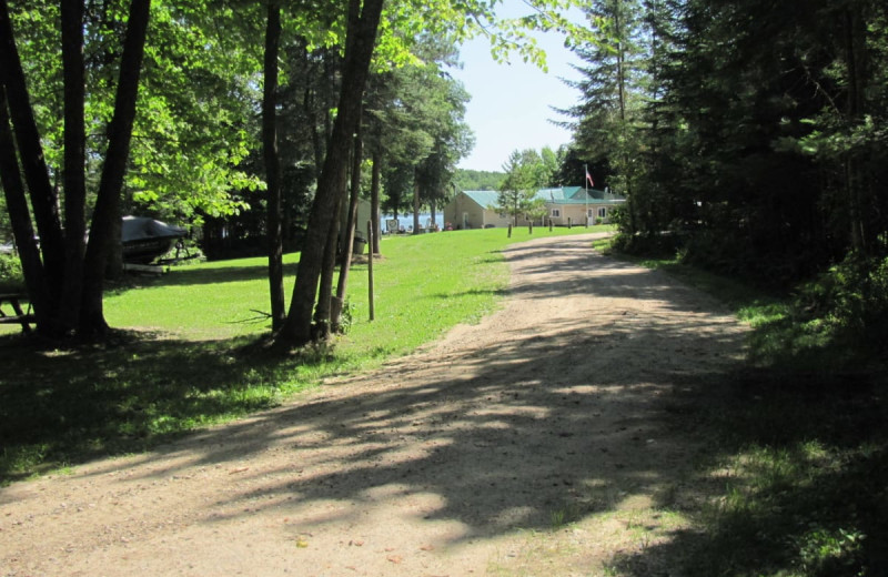 RV camping at Rising Eagle Resort.