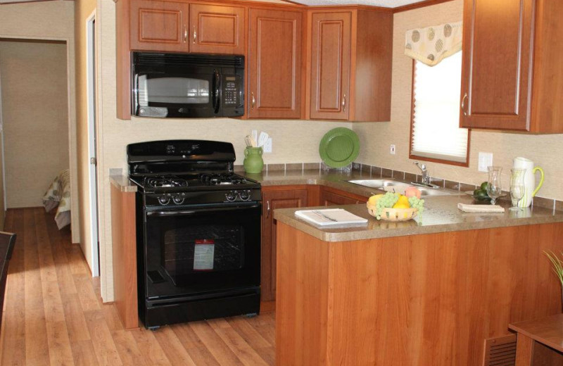 Cabin kitchen at Shamrock Bay Resort.