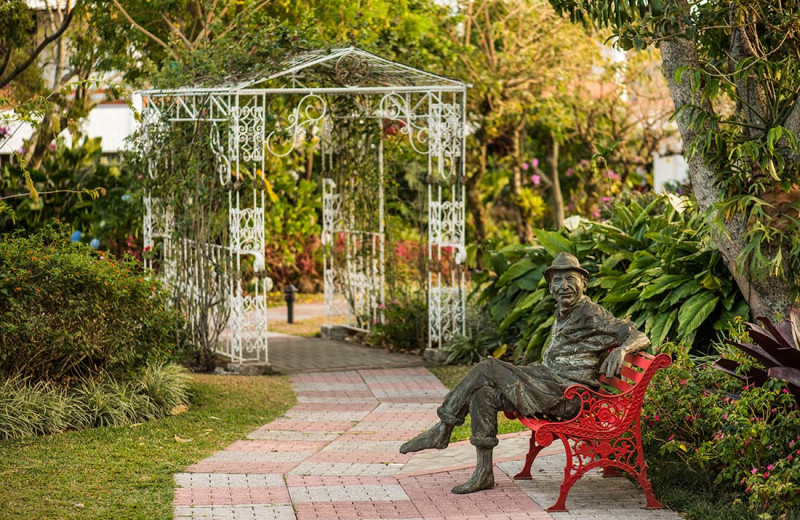 Garden at Hotel Bougainvillea.