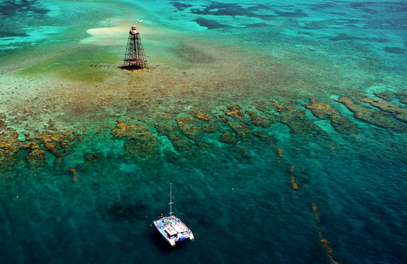 Snorkeling at La Concha Hotel & Spa.