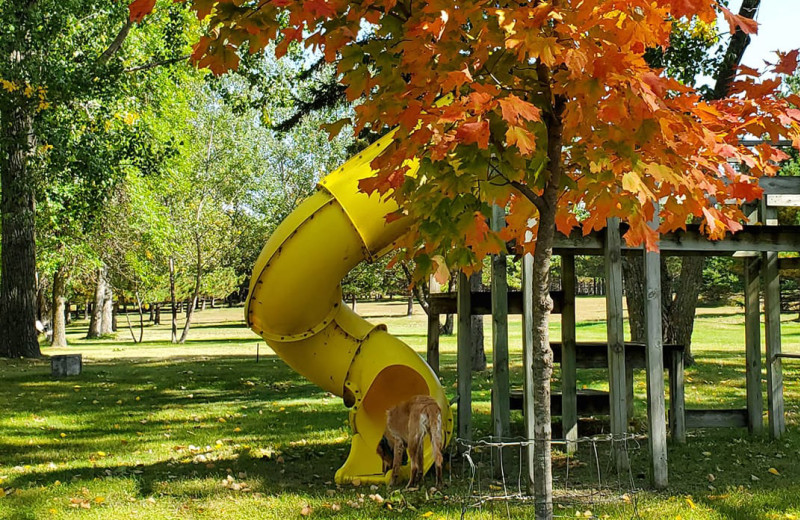 Fall at Whispering Waters Resort.