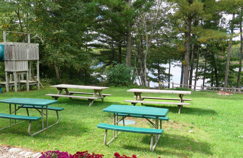 Picnic tables at Sleeping Bear Resort.