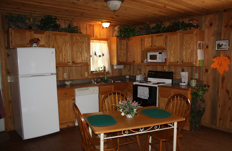 Moose Lodge kitchen at Heath Valley Cabins.