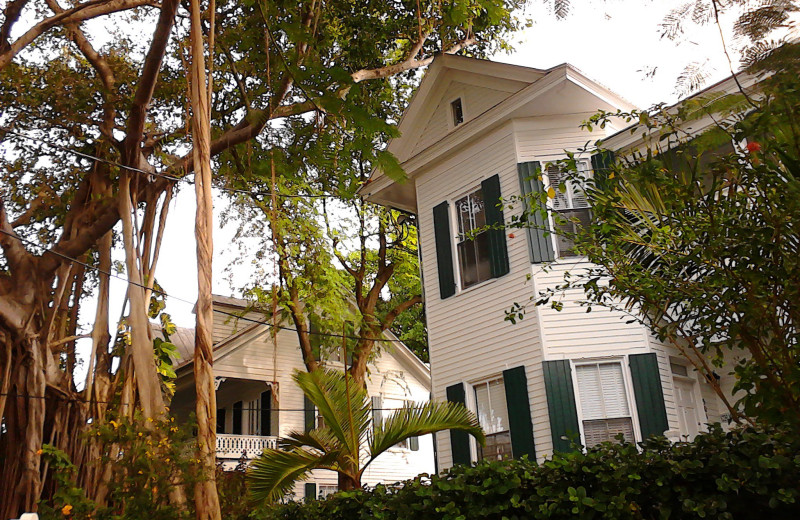 The Delany house next to The Banyan Resort.