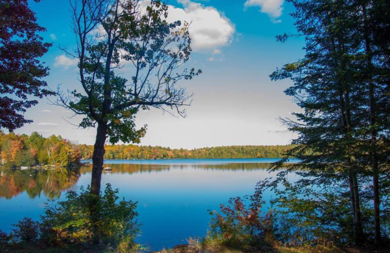 Lake view at Great Blue Resorts- Bonnie Lake Resort.
