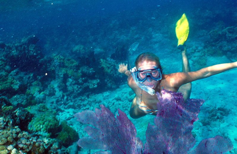 Snorkeling at The Inn at Key West.