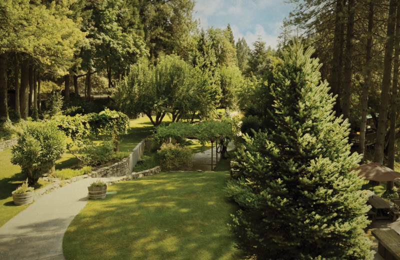 Grounds at Scott River Lodge.