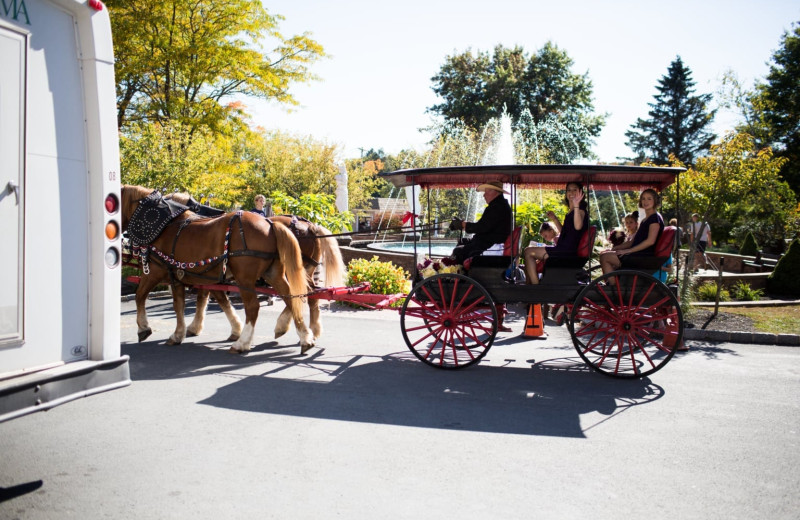 Wedding carriage at Villa Roma Resort and Conference Center.