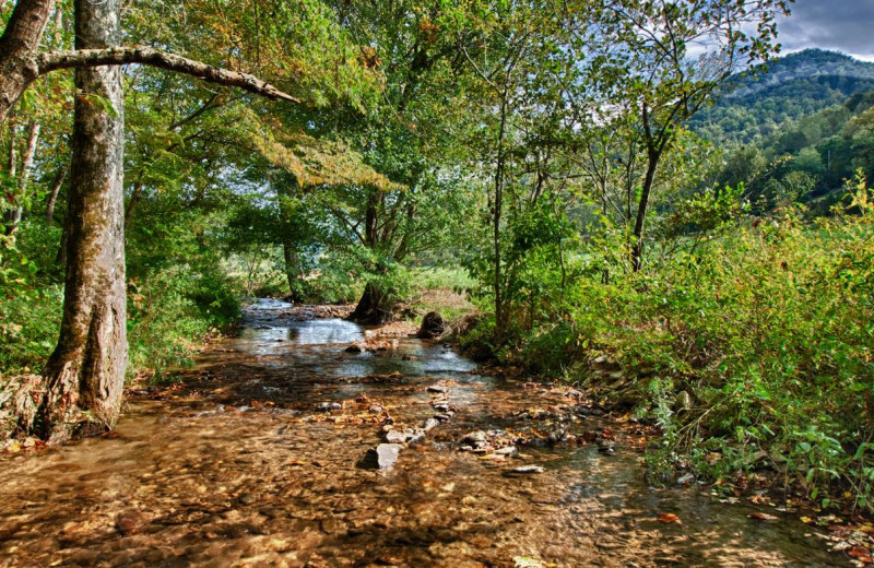 Creek at Hidden Creek Cabins.