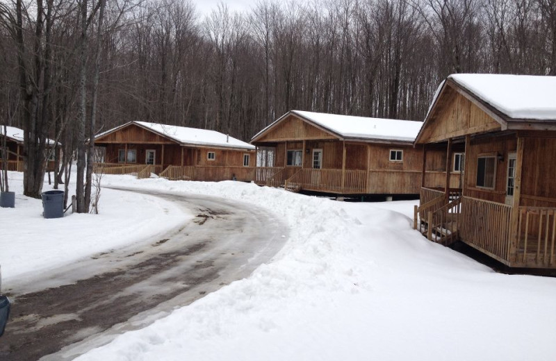 Winter time at The Woods At Bear Creek Glamping Resort.