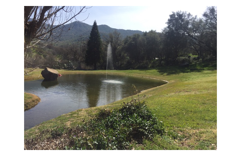 Lake view at Lake Elowin Resort.