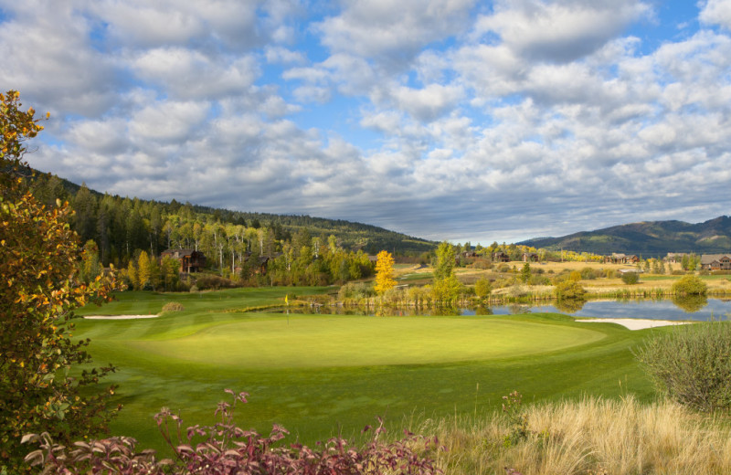 Golf course at Cabin and Company.