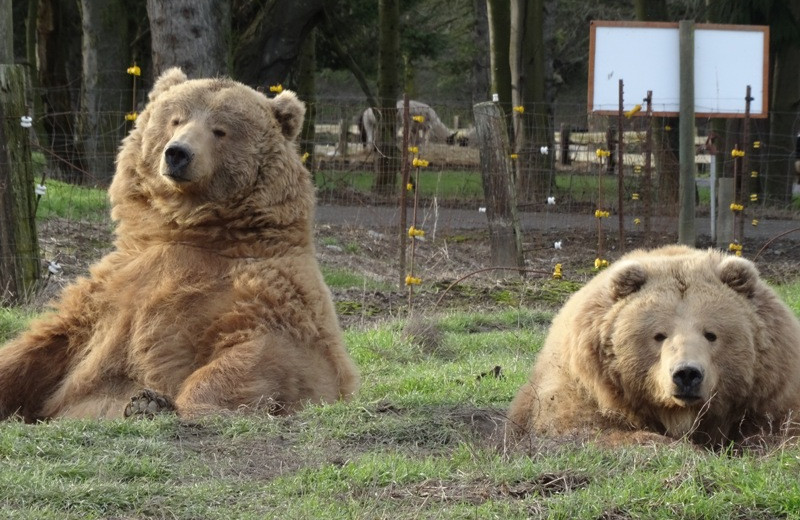 Zoo near Brigadoon Vacation Rentals.